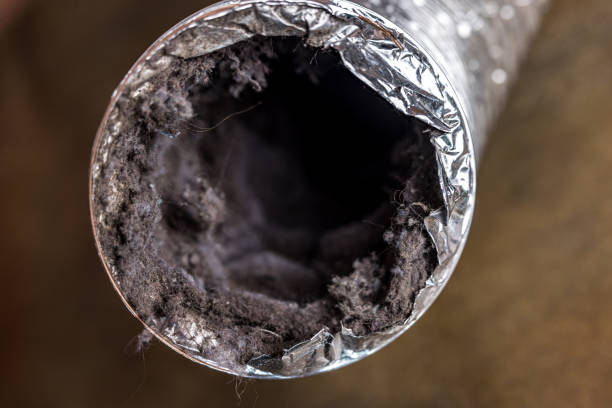Best Emergency Air Duct Cleaning  in Koloa, HI